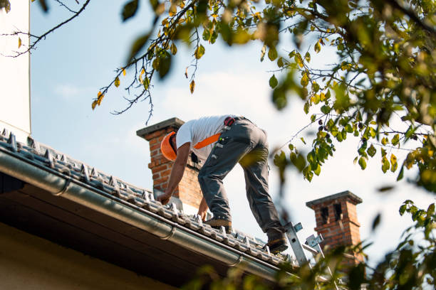 Quick and Trustworthy Emergency Roof Repair Services in Garden City, MI