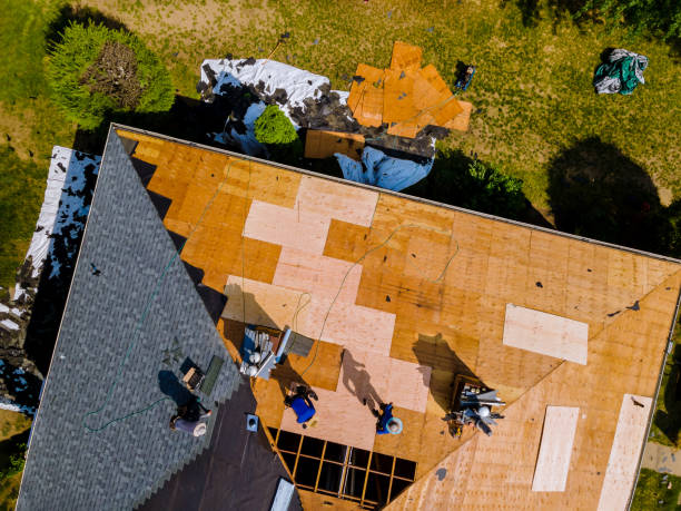 Best Local Roofing Companies  in Garden City, MI